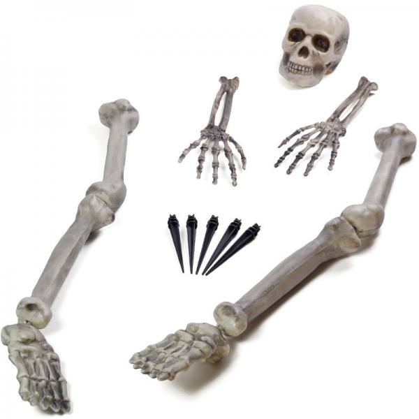 Halloween Dekoration Skelett