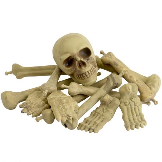 Skelettdelar i Påse med Kranium