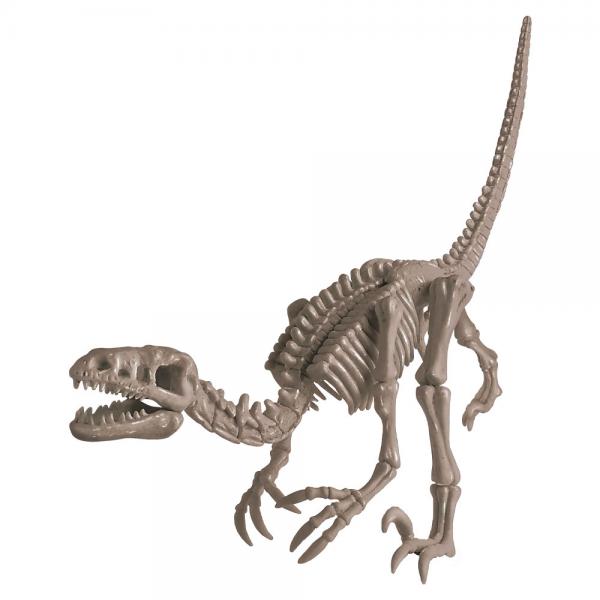 Dig a Dinosaur Skeleton Utgrvningsset Velociraptor