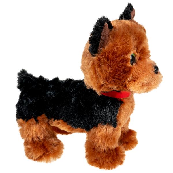 Gosedjur Yorkshireterrier Hund
