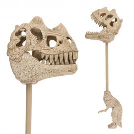 Dinosaurie Skelett med Ljud