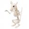 Skelett Dekoration Råtta