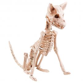 Sittande Hund Skelett Prop