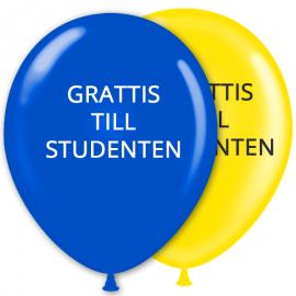 Ballonger Student Grattis 24-pack