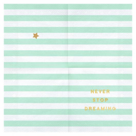 Never Stop Dreaming Servetter