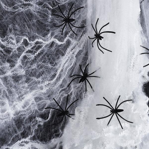 Spindelvv med Svarta Spindlar