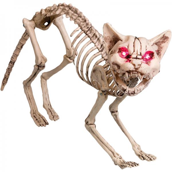 Ljudaktiverad Skelett Katt Dekoration