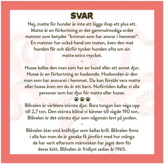 Spela Mera: Allt Om Djur Frgespel