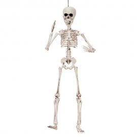 Skelett Dekoration Poserbart