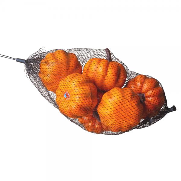 Halloween Pumpor Orange 6-pack