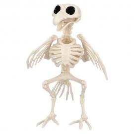 Skelett Dekoration Fågel
