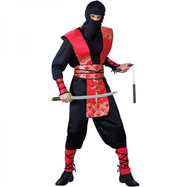 The Master Ninjadrkt