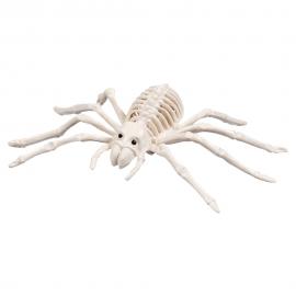 Skelett Dekoration Spindel