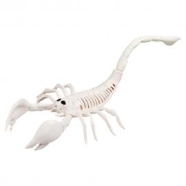 Skelett Dekoration Skorpion