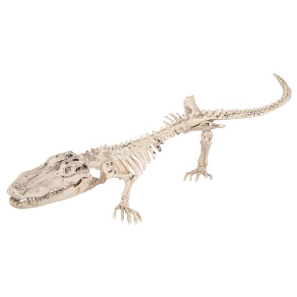 Krokodil Skelett Dekoration