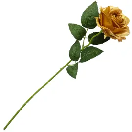 Ros Guld 52 cm