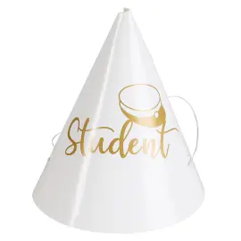 Mini Partyhattar Student