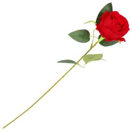 Röd Ros 50 cm