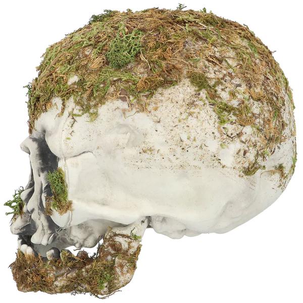 Dödskalle med Mossa Dekoration 19 cm