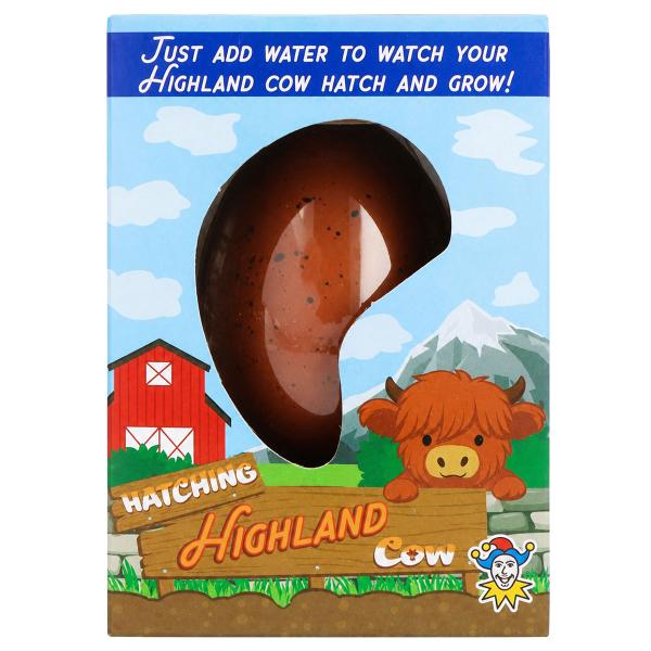 Ägg med Växande Highland Ko Brun 6,5 cm