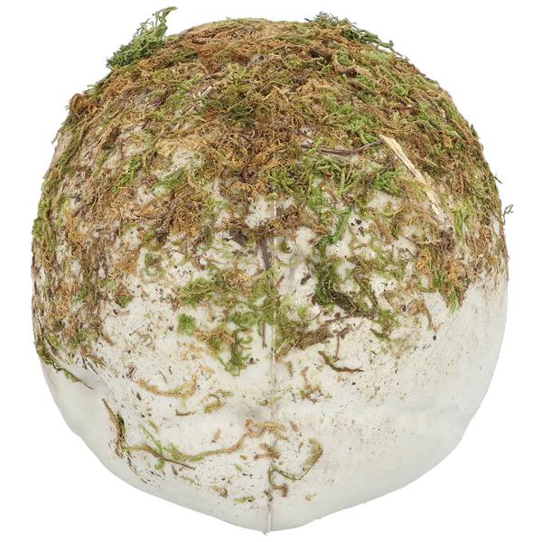 Dödskalle med Mossa Dekoration 19 cm