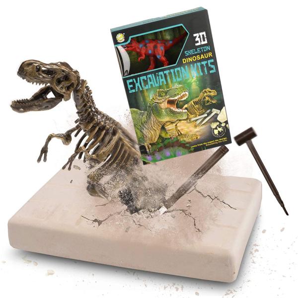 Dinosaurie Skelett Utgrävningskit