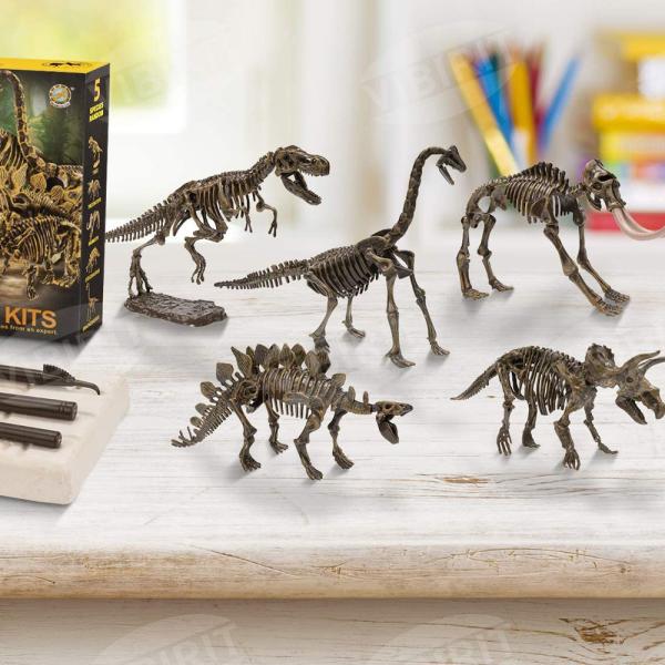 Dinosaurie Skelett Utgrävningskit