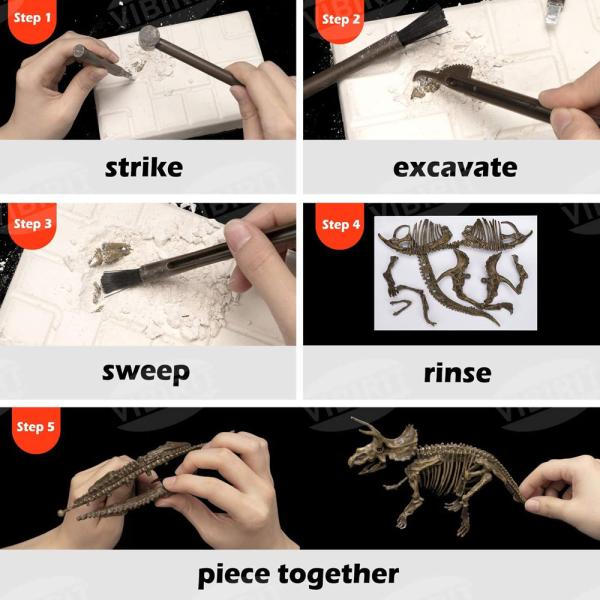 Dinosaurie Skelett Utgrävningskit