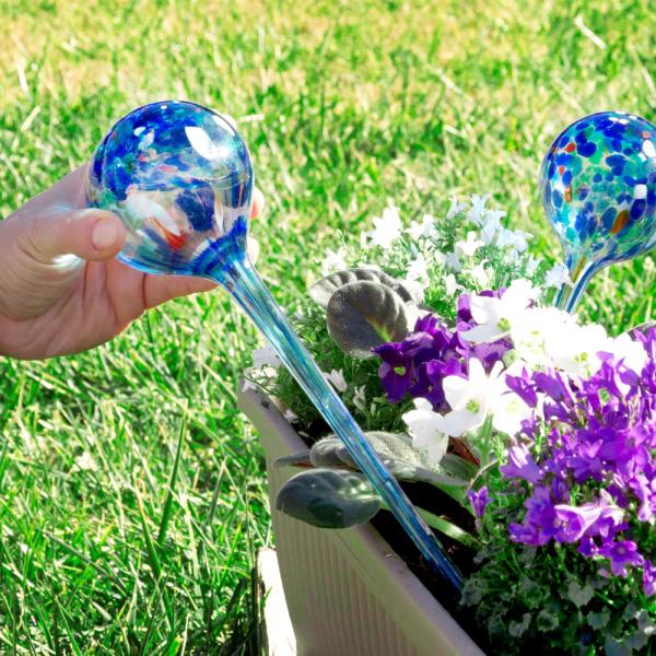 Bevattningsglober Glas Aqua-Loon