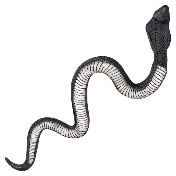 Orm Kobra