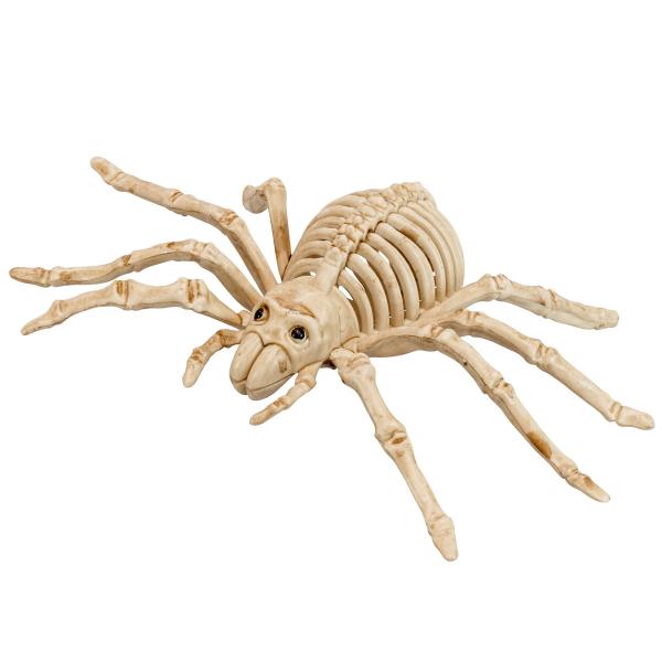 Spindel Skelett Dekoration