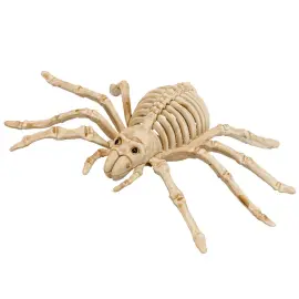 Spindel Skelett Dekoration
