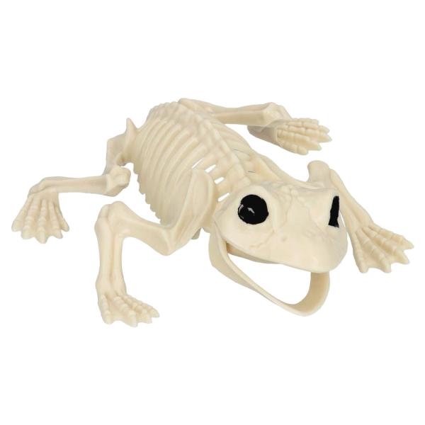 Skelett Dekoration Groda