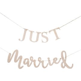 Just Married Girlang Botanical Wedding