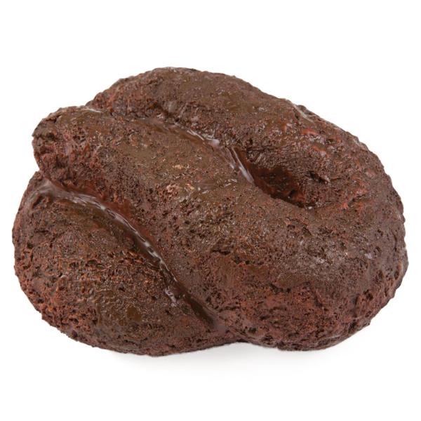 Nyckelgömma Hundbajs