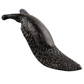 Klibbig Snigel Svart 12,5 cm