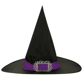 Häxhatt med Lila Band