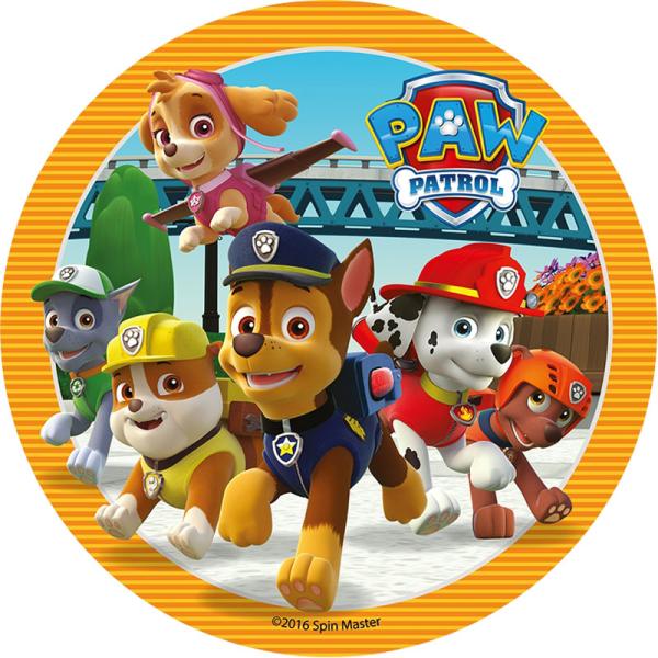Paw Patrol Tårtbild E