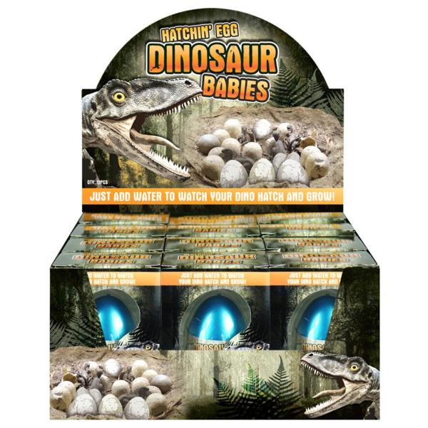 Ägg med Växande Dinosaurie 6 cm