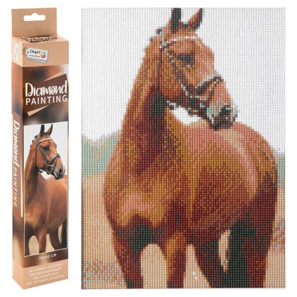 Diamond Painting 30x40 cm
