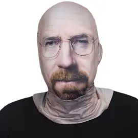 Bad Teacher Fotorealistisk Mask