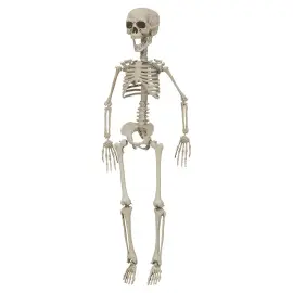 Hängande Skelett Dekoration 76 cm