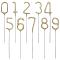 Tomtebloss Siffra Guld 15 cm