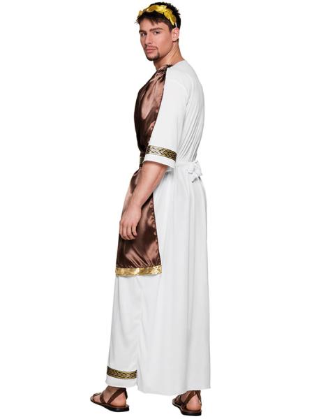 Grekisk Gud Zeus Toga