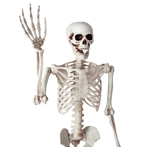 Böjbart Skelett Prop 150 cm