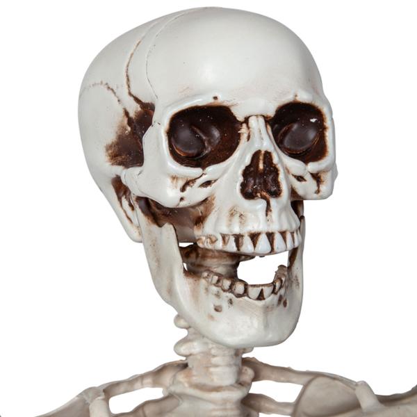 Böjbart Skelett Prop 150 cm