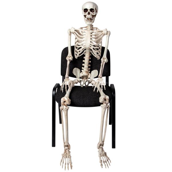 Böjbart Skelett Prop 150 cm