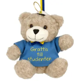 Studentnalle Björn med Collegetröja