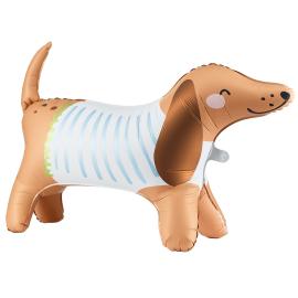 Gående Dachshund Folieballong & Hundkort