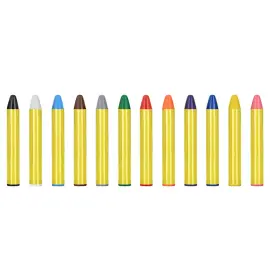Ansiktskritor 12-pack